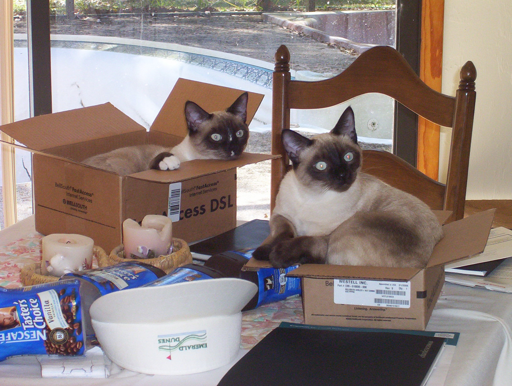 Tisha and Saachie In Memory of Pets